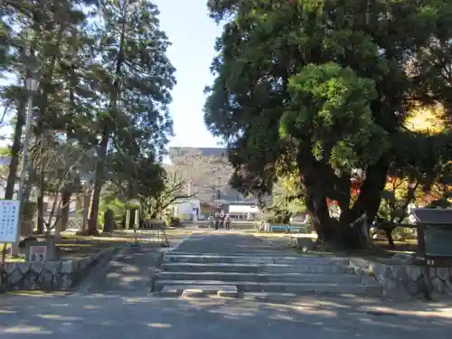 香園寺(愛媛県)