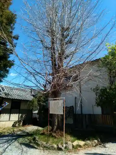 玄法院の庭園