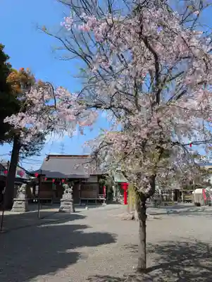 相模原氷川神社(神奈川県)