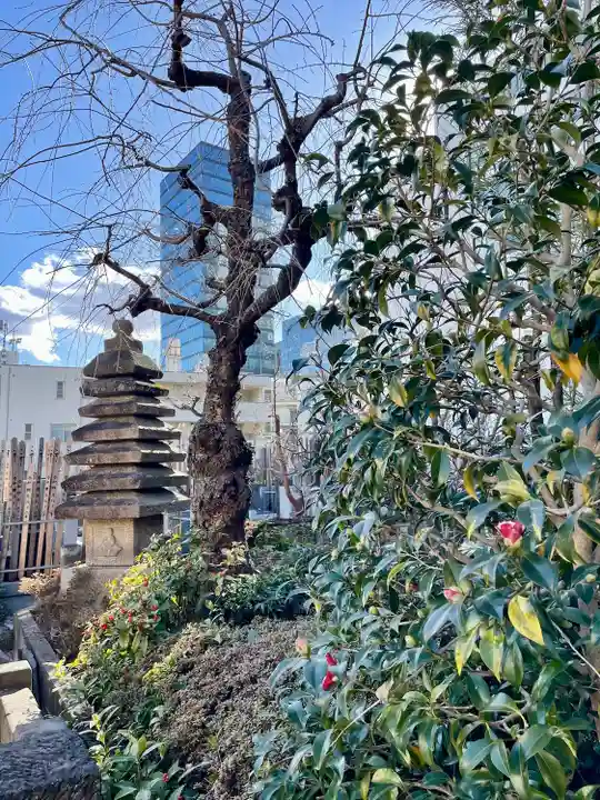 天龍寺(東京都)