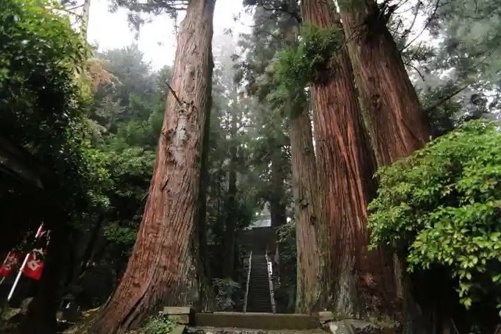 鹿島大神宮の自然