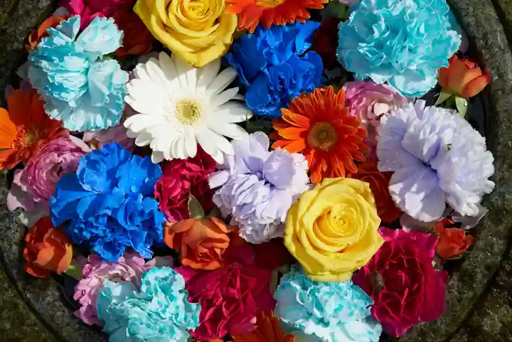 壽徳寺 じゅとくじの手水舎