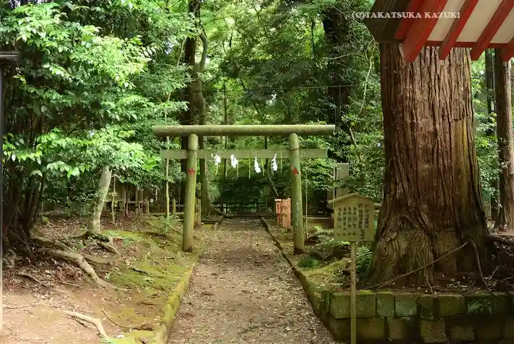 鹿島神宮(茨城県)