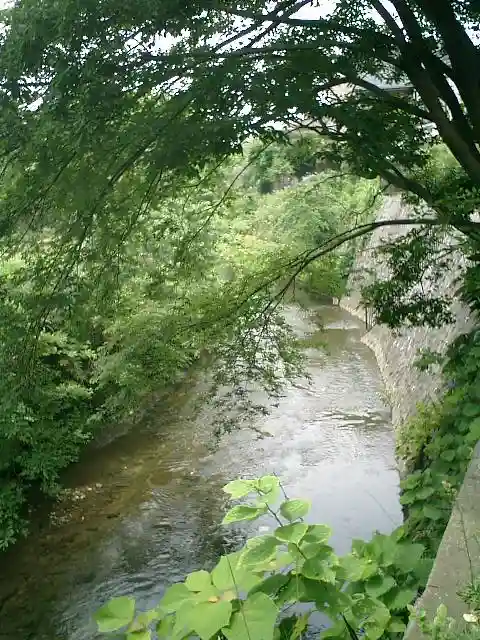 蛭子神社の自然