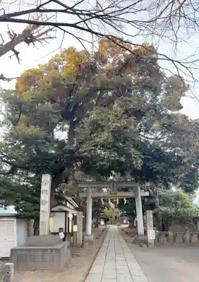 諏方神社の{uncategorized: "未分類", other: "その他", undefined: "問題あり", building: "その他建物", grave: "お墓", sacred_gate: "鳥居", guardian: "狛犬", statue: "像", buddha: "仏像", history: "歴史", nature: "自然", garden: "庭園", animal: "動物", pagoda: "塔", temizu: "手水舎", mountain_gate: "山門・神門", sanctuary: "本殿・本堂", subordinate: "末社・摂社", art: "芸術", scenery: "景色", jizo: "地蔵", ema: "絵馬", goshuin: "御朱印", omikuji: "おみくじ", items: "授与品その他", amulet: "お守り", goshuincho: "御朱印帳", eats: "食事", festival: "お祭り", votive_dance: "神楽", shichigosan: "七五三参", wedding: "結婚式", experience: "体験その他", initially: "初詣", around: "周辺", anti_infection: "感染症対策"}