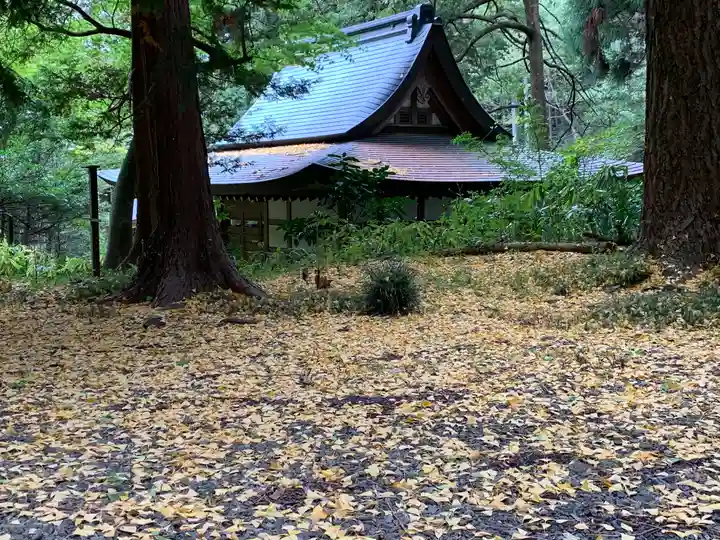 武蔵二宮 金鑚神社(埼玉県)