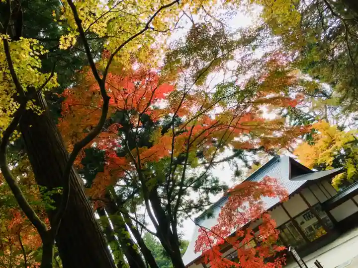 中尊寺本堂の庭園