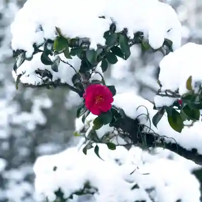 伊勢の国 四天王寺(三重県)