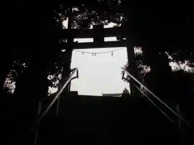 杉山神社（片倉町）の鳥居