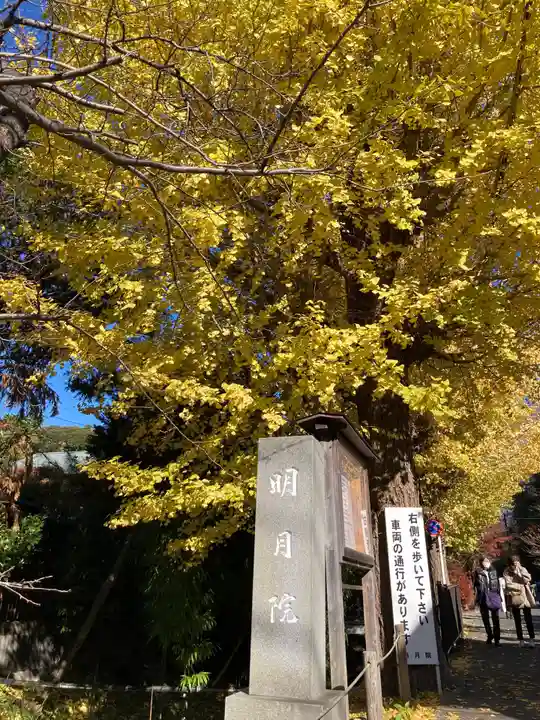 明月院のその他建物