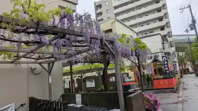 藤之宮　春日神社（野田の藤跡）(大阪府)