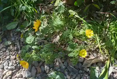 本郷氷川神社(東京都)