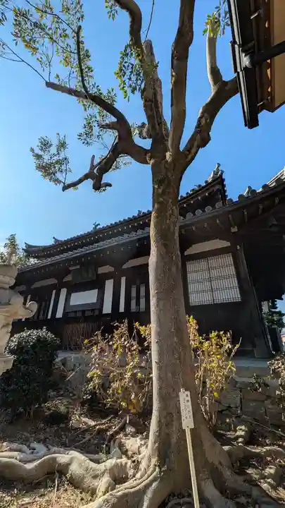 慶瑞禅寺(慶瑞寺)(大阪府)