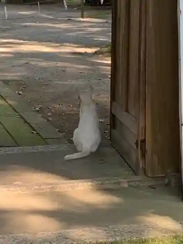 伊佐須美神社の動物