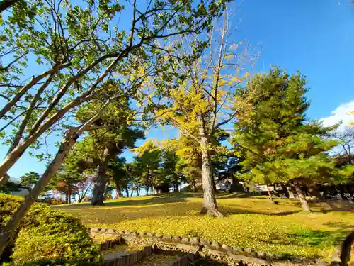 麓山神社の自然