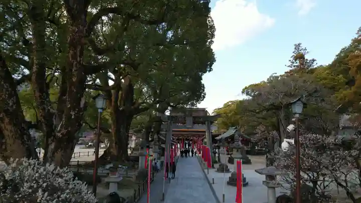 太宰府天満宮の自然