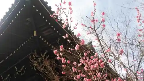 光明寺（粟生光明寺）の自然