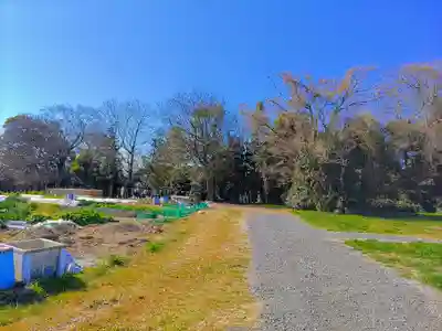 八幡社（山路）の自然