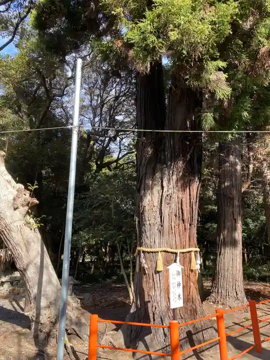 息栖神社の自然
