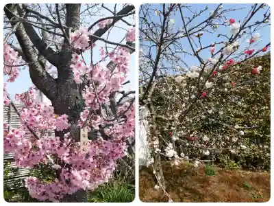 元興寺の{uncategorized: "未分類", other: "その他", undefined: "問題あり", building: "その他建物", grave: "お墓", sacred_gate: "鳥居", guardian: "狛犬", statue: "像", buddha: "仏像", history: "歴史", nature: "自然", garden: "庭園", animal: "動物", pagoda: "塔", temizu: "手水舎", mountain_gate: "山門・神門", sanctuary: "本殿・本堂", subordinate: "末社・摂社", art: "芸術", scenery: "景色", jizo: "地蔵", ema: "絵馬", goshuin: "御朱印", omikuji: "おみくじ", items: "授与品その他", amulet: "お守り", goshuincho: "御朱印帳", eats: "食事", festival: "お祭り", votive_dance: "神楽", shichigosan: "七五三参", wedding: "結婚式", experience: "体験その他", initially: "初詣", around: "周辺", anti_infection: "感染症対策"}
