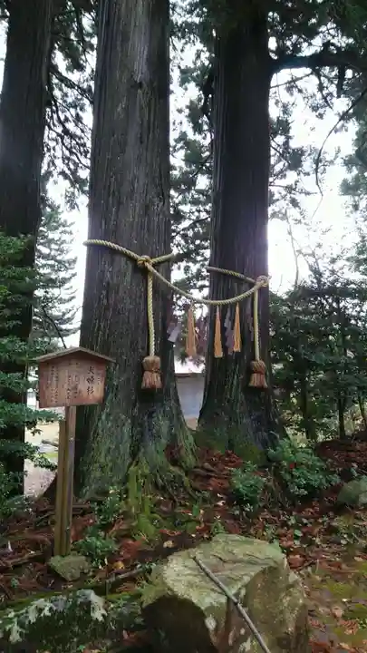 金峯神社の自然