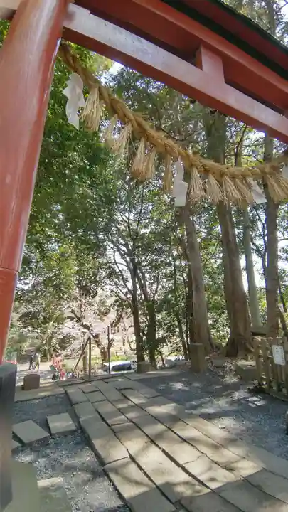 氷川女體神社(埼玉県)
