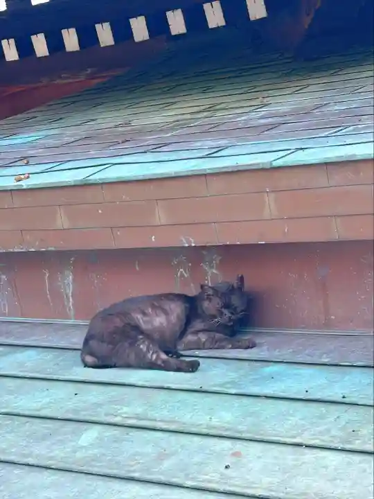 櫻山神社(岩手県)