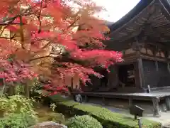 金剛輪寺(滋賀県)