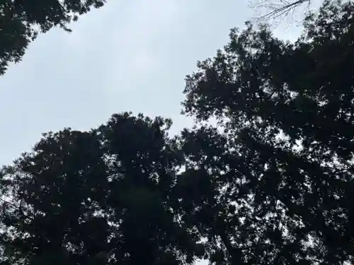 大宮温泉神社(栃木県)