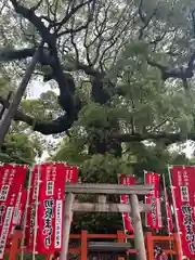 住吉大社(大阪府)