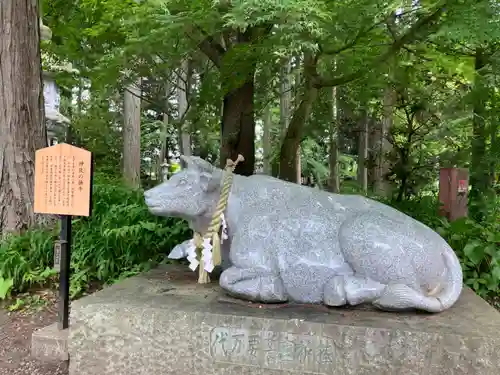 冨士御室浅間神社の狛犬