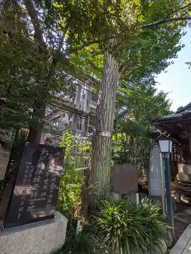 千住本氷川神社(東京都)