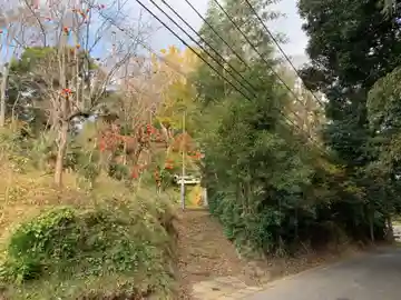 天津日神社(千葉県)