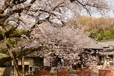 掌禅寺(愛媛県)
