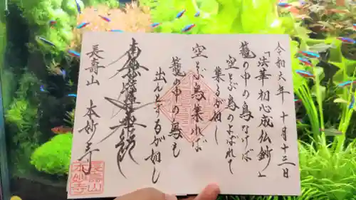 本妙寺の御朱印