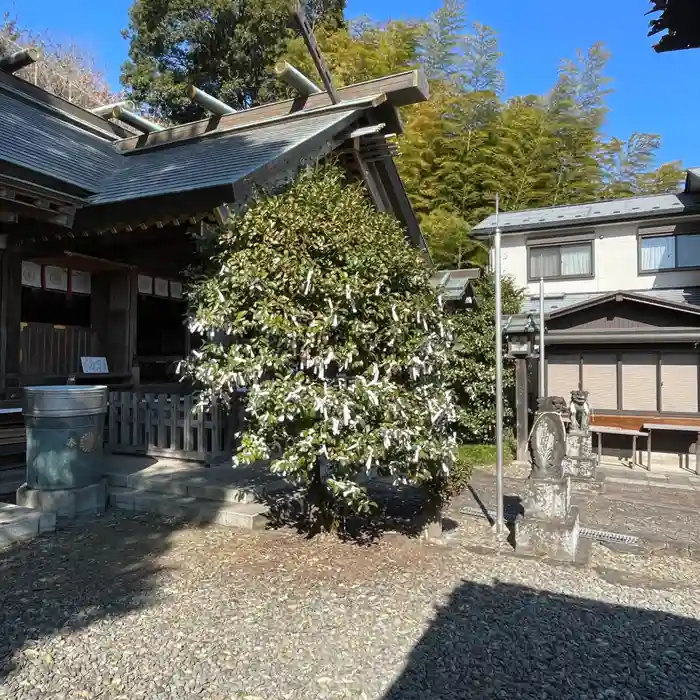 新羽杉山神社の建物その他