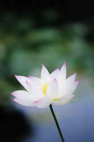 浄土寺(兵庫県)