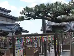 秋葉總本殿可睡斎(静岡県)