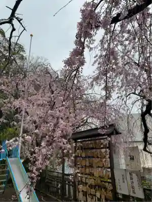 根岸八幡神社(神奈川県)