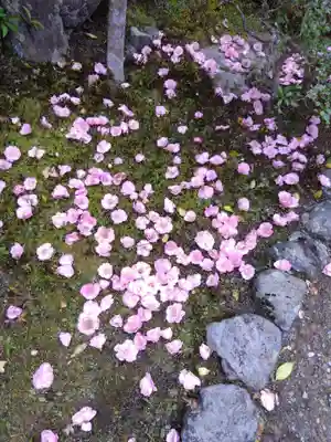 霊鑑寺門跡(京都府)