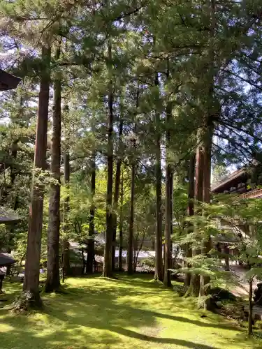 永平寺(福井県)