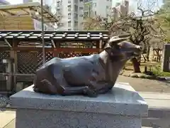 湯島天満宮の狛犬