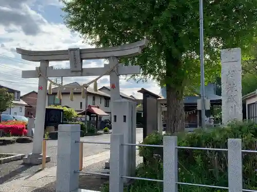 並木氷川神社の鳥居