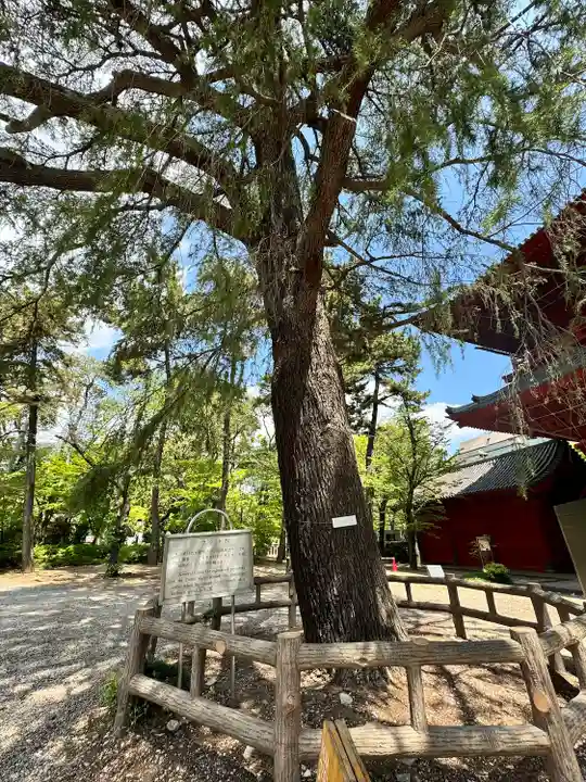 増上寺(東京都)