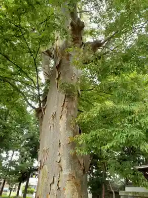 鳥海月山両所宮(山形県)