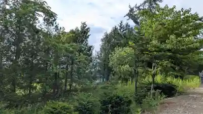 東瓜幕八幡神社の自然