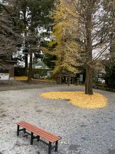下野 星宮神社の自然