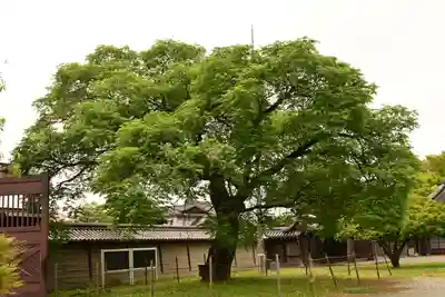本徳寺(兵庫県)