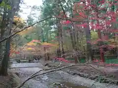 小國神社の自然