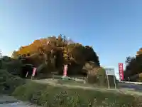 時切稲荷神社(岡山県)